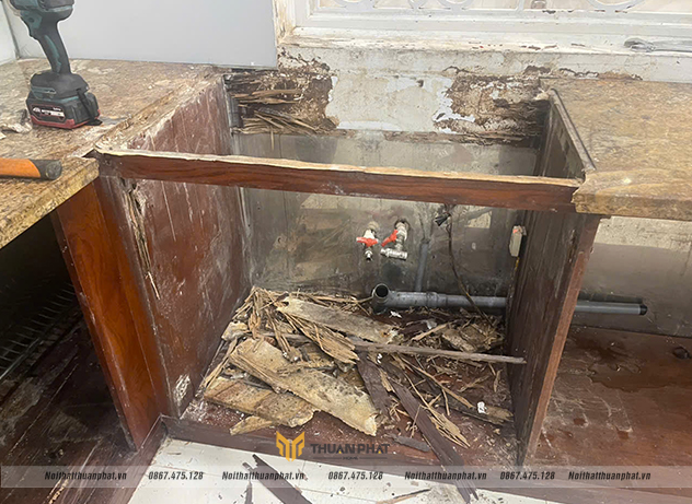 cận cảnh tủ bếp gỗ tự nhiên bị mối mọt